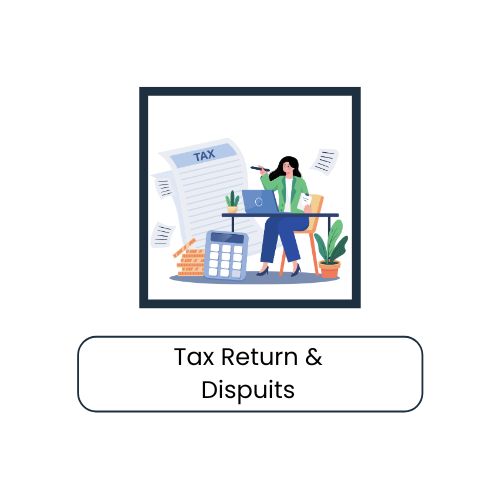 Tax Return & Disputes